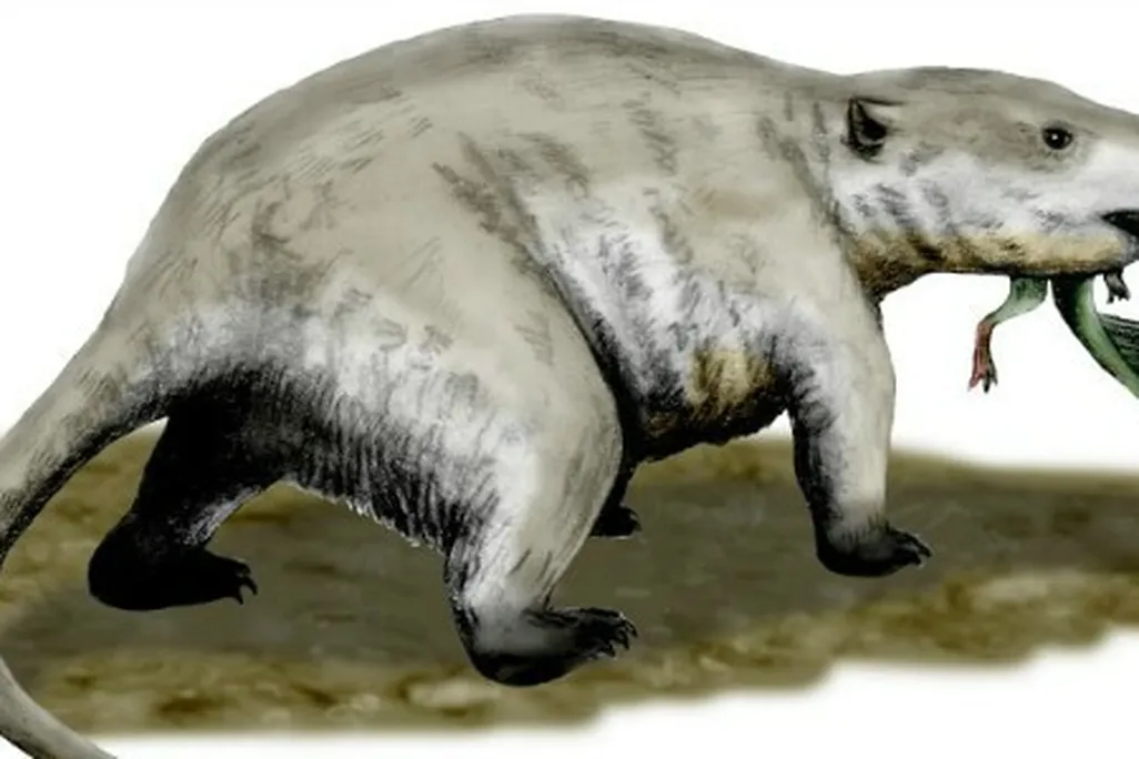 Rat-eating-dino-hero-2.jpgA restoration of Repenomamus snacking on a young Psittacosaurus