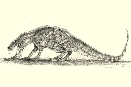 By analyzing fossilized vomit and droppings, scientists have determined that Smok wawelski was one of the first predators to crush the bones of its prey.  