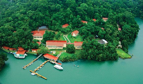 On June 3 live from Panama, Smithsonian Tropical Research Institute staff share their ground-breaking research on tropical forests and marine ecosystems.