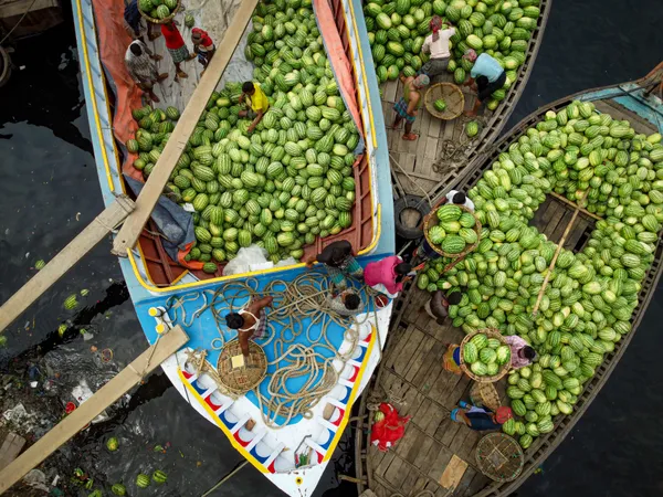 Unloading Watermelons thumbnail