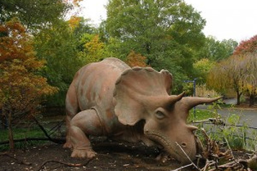 20110520083135uncle-beazley-triceratops-zoo-300x225.jpg