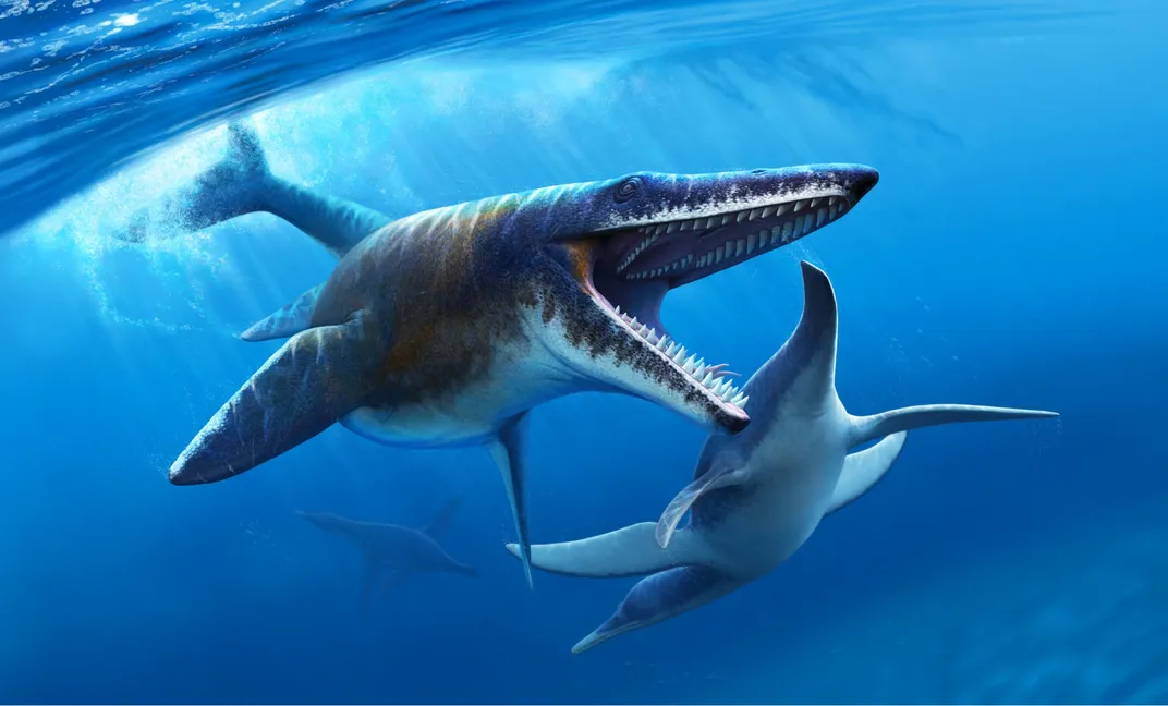 large swimming predators stalk the Mesozoic seas