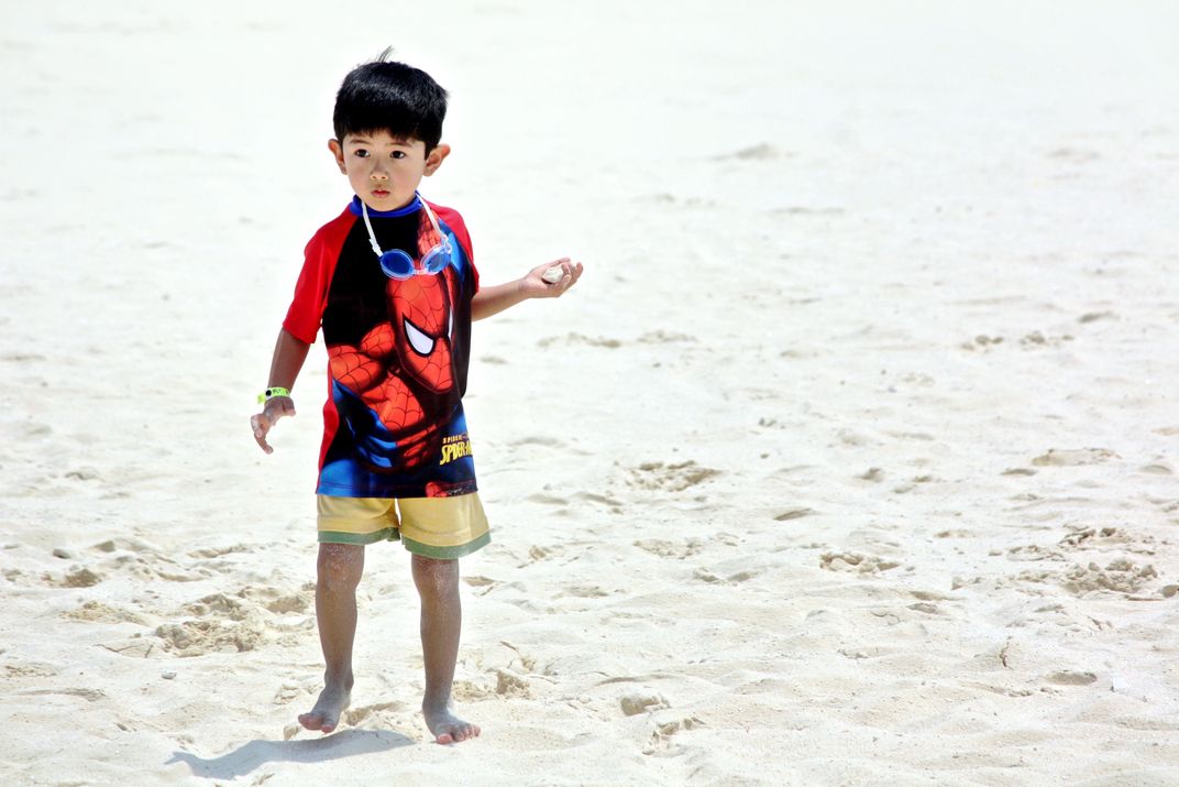 Finding shells in the sand. | Smithsonian Photo Contest | Smithsonian ...