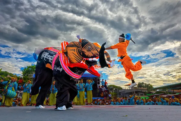 Elephant Donation Festival thumbnail