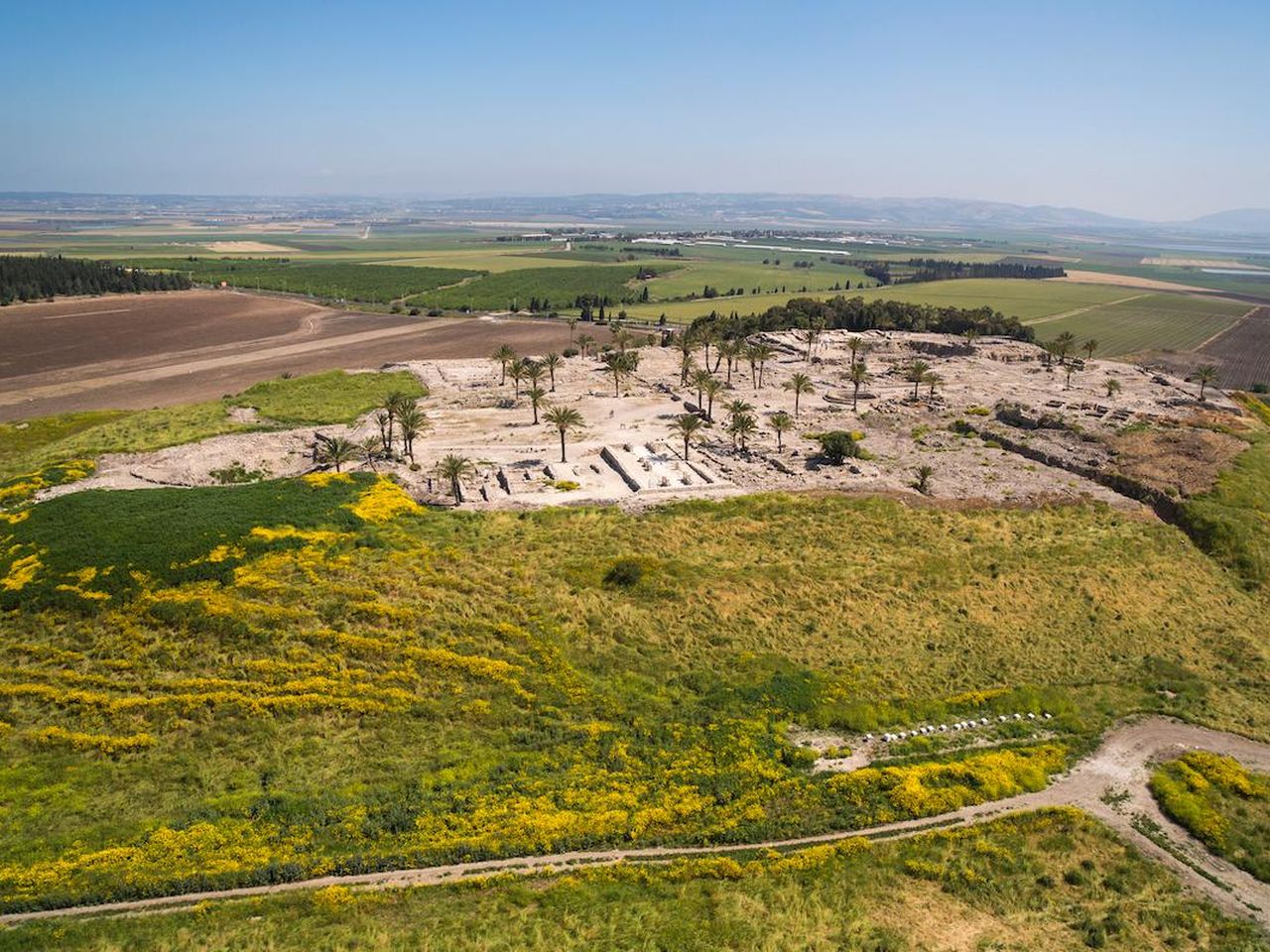 megiddo_.jpg