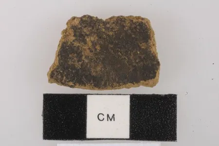 Pottery shards from Pulau Ay site