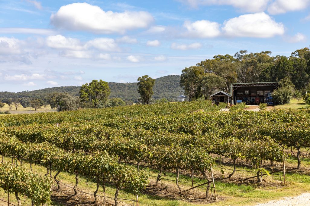 Winery