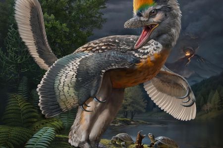 An artist&#39;s interpretation of&nbsp;Fujianvenator prodigiosus

