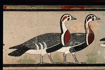 These brightly colored geese have no modern, real-world counterpart.