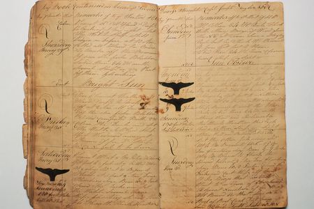 Logs like this one are being digitized in museums all over New England and used to help scientists understand climate change. 