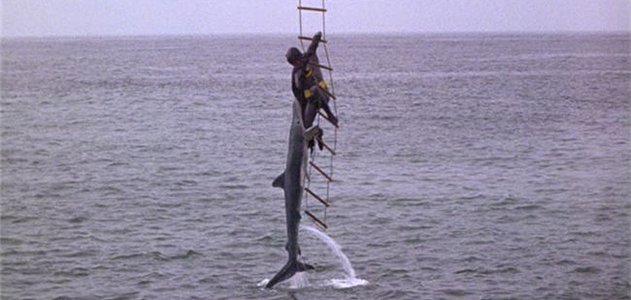 Shark Repellent: It's Not Just For Batman Anymore | Arts & Culture|  Smithsonian Magazine