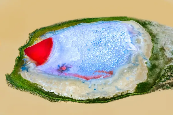 “Fish” of the Desert thumbnail