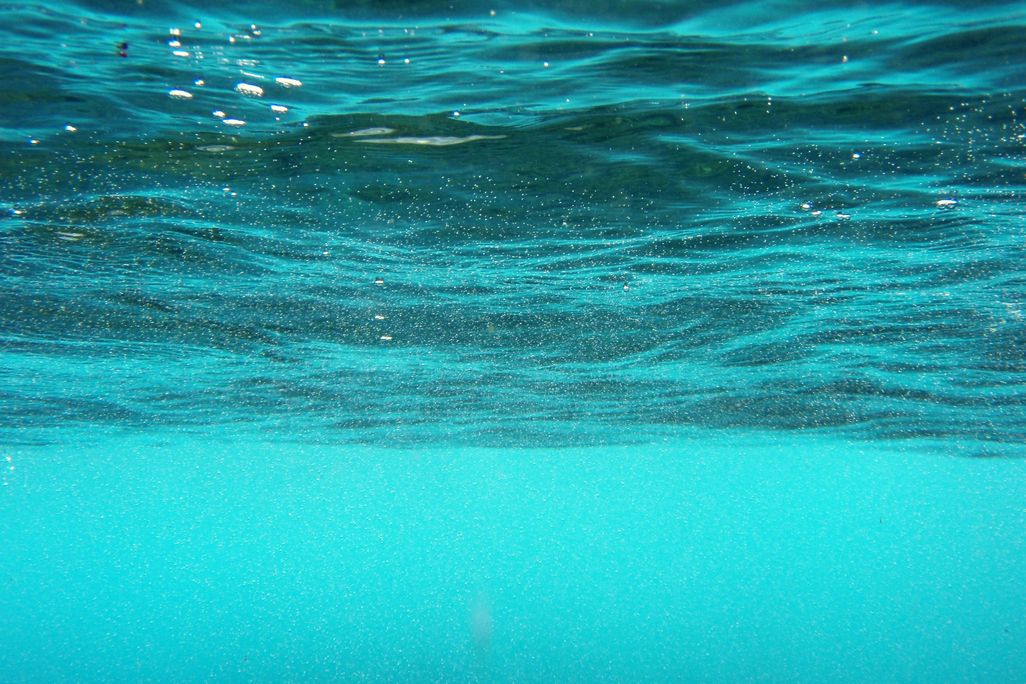 Underwater_world.jpg