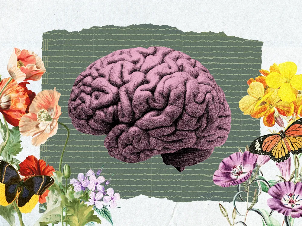 an illustration of a brain with a background of EEG readout and flowers with butterflies on the sides