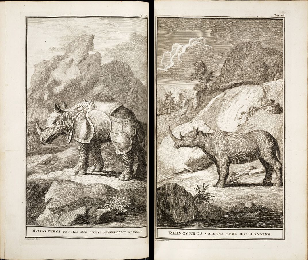Two book illustrations of rhinoceros. Rhinoceros on left appears armored. Rhinoceros on right is more accurate.
