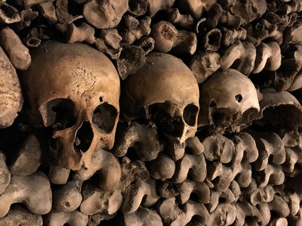 Skulls in Paris Catacombs thumbnail