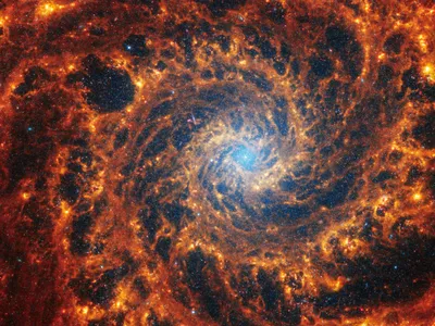 Spiral galaxy NGC 628, located 32 million light-years away in the constellation Pisces, as captured by the James Webb Space Telescope in near- and mid-infrared light. The red and orange spirals represent gas, while the small blue dots represent stars.