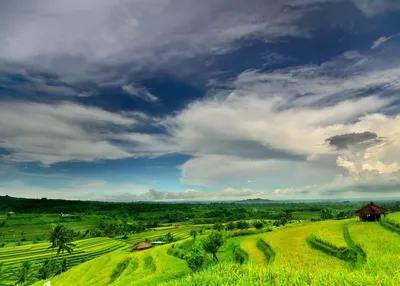 bali-uncovered-tailor-made-travel
