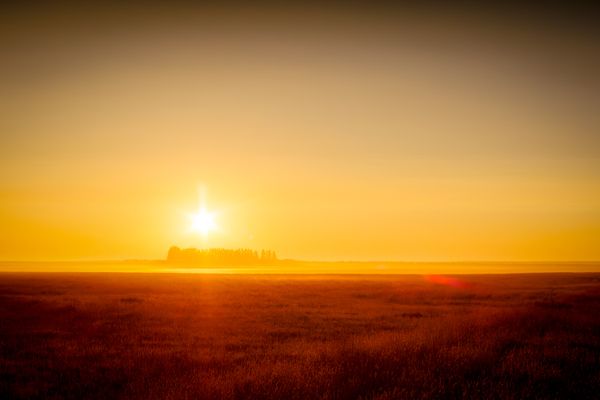 Sunrise on the Prairie thumbnail