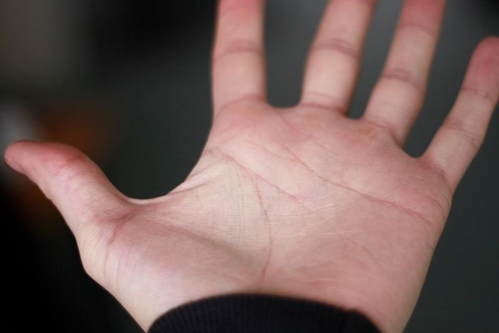 Human Hand