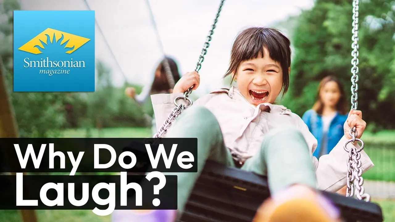 video: Why Do We Laugh? The Science Behind Humor and Human Connection