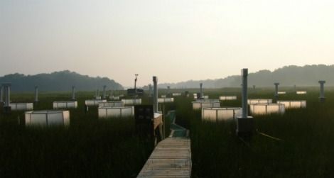 The Global Change Research Wetland