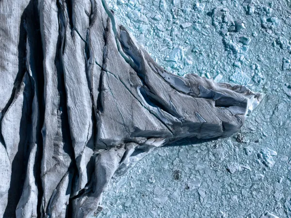 The Dying Giant || 2 thumbnail