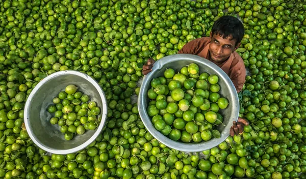 Local Lemon Vendor of Bangladesh thumbnail