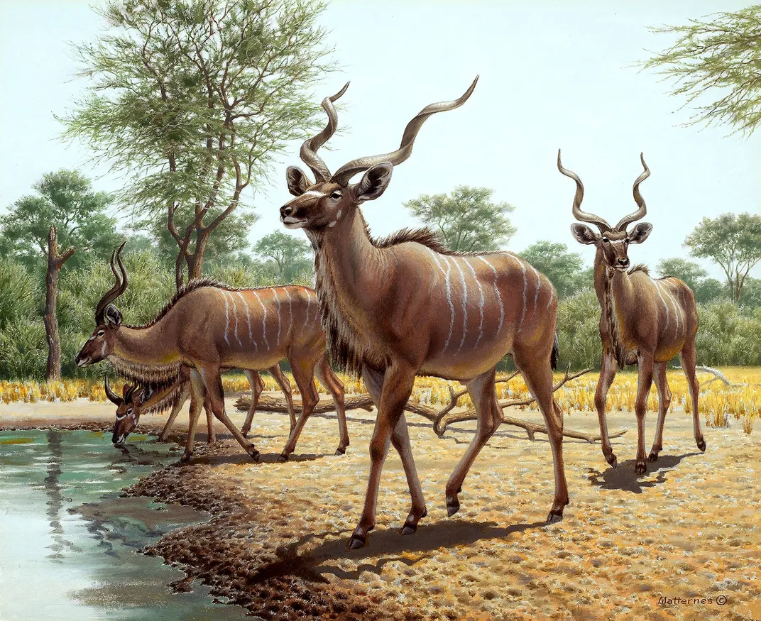 Kudus