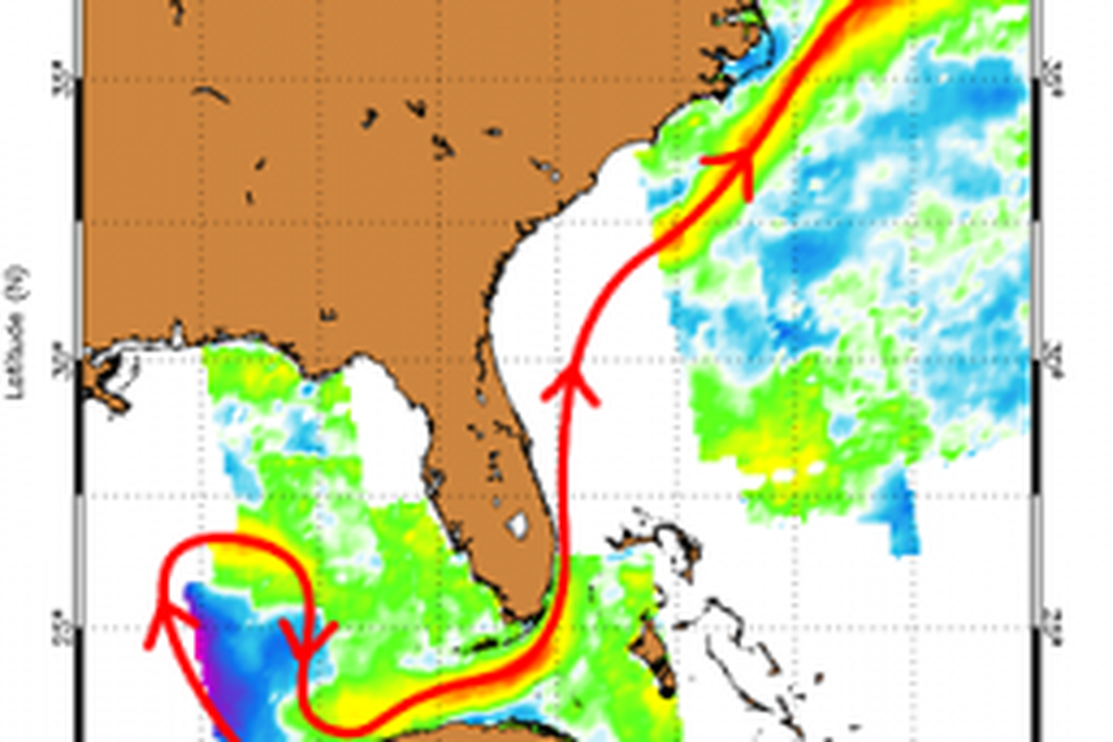 20110520102345Mean_doppler_gulf_stream_as_path_2_L-257x300.png