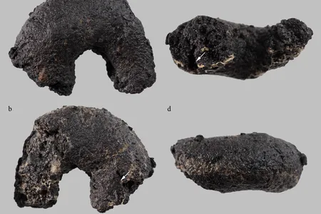 Some of the charred Cheerios.