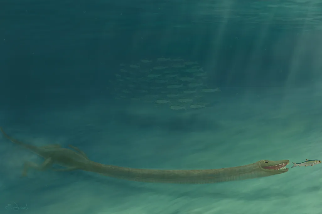Tanystropheus hydroides hunting