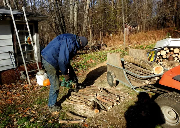 Husband with chainsaw cutting firewood thumbnail