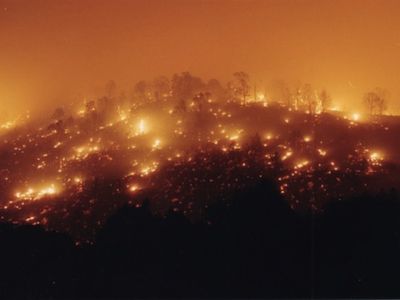 A 2002 wildfire in Colorado