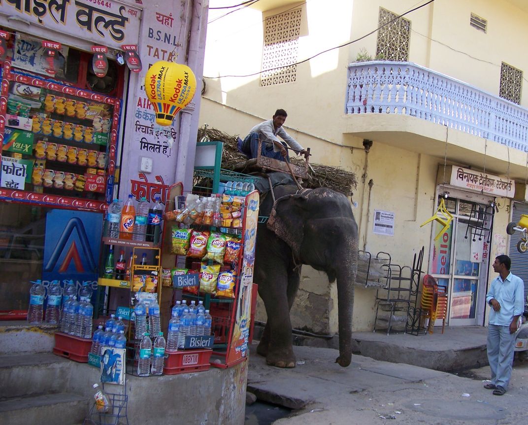 Elephant carting goods Smithsonian Photo Contest Smithsonian Magazine