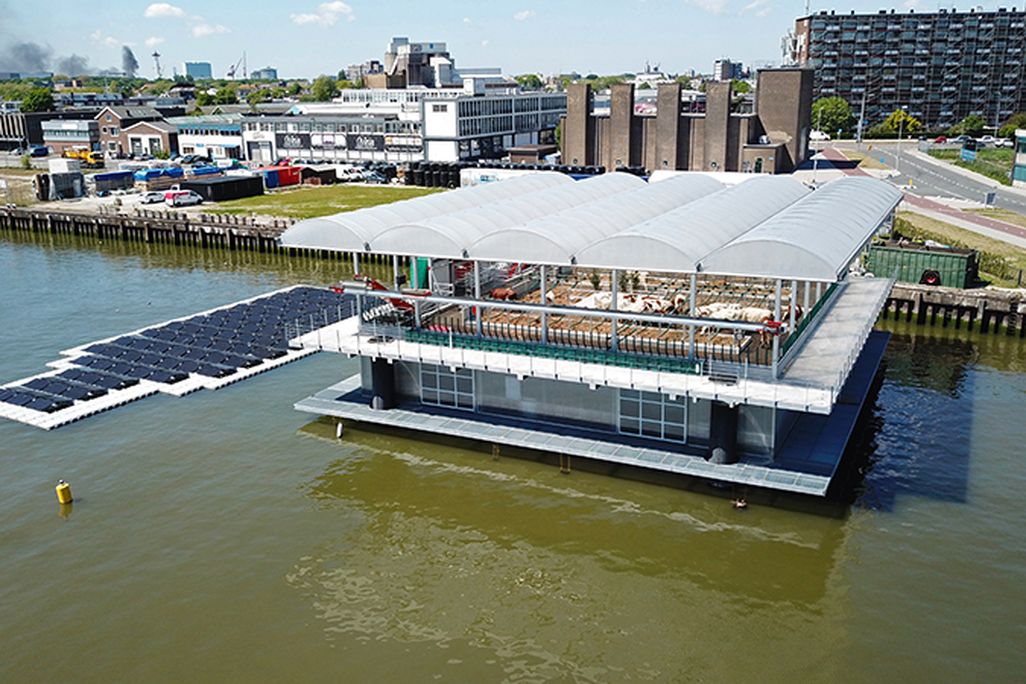 Floating-Farm-main.jpg