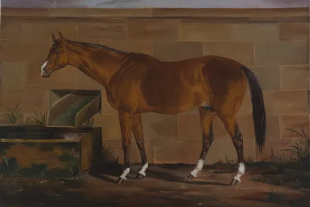 In her new historic novel, Brooks reimagines the life of the itinerant artist Thomas J. Scott, who rendered the distinguished race horse in the oil painting,&nbsp;Portrait of Lexington, ca. 1857, a work that Smithsonian curator Eleanor Harvey describes as &quot;visually riveting.&quot;