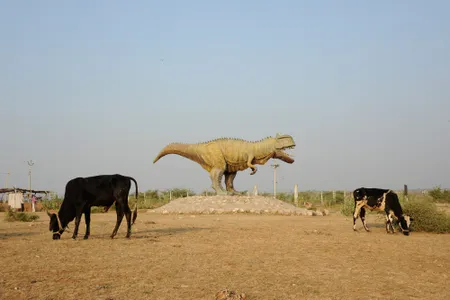 Cows graze near a huge replica of a dinosaur at the Balasinor fossil park. The area is littered with hundreds of dinosaur bones, teeth, skulls and eggs tens of millions of years old.