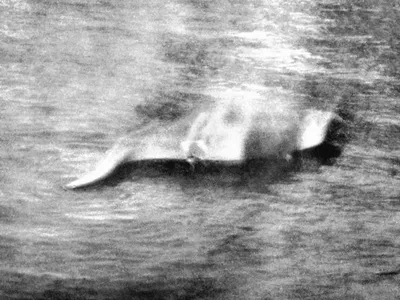 Hugh Gray&#39;s famous 1933 photo of a creature he believed to be Nessie