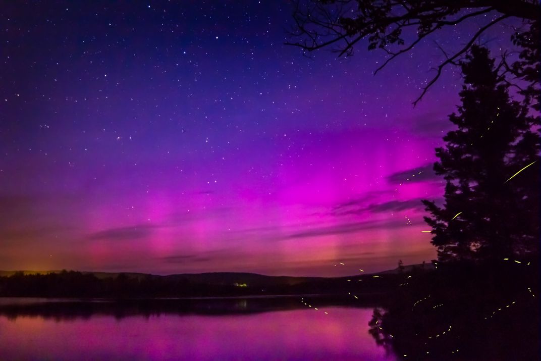 Northern Lights and Lightning Bugs Smithsonian Photo Contest