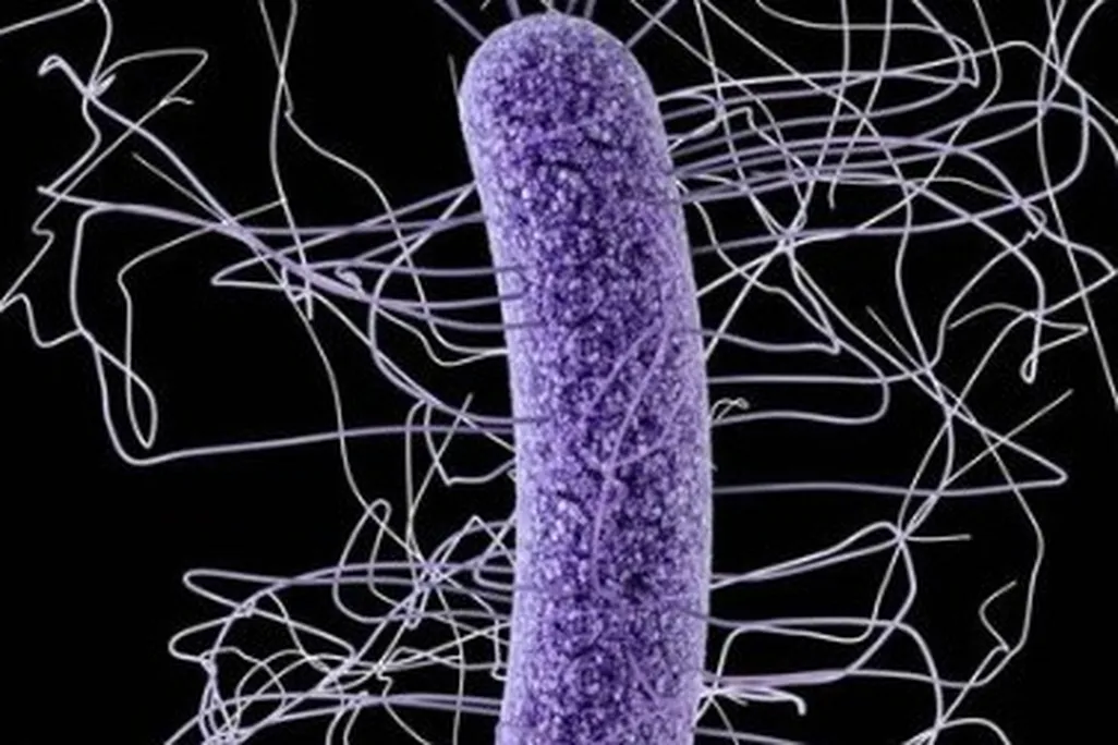 Superbugs are making public health experts very nervous.