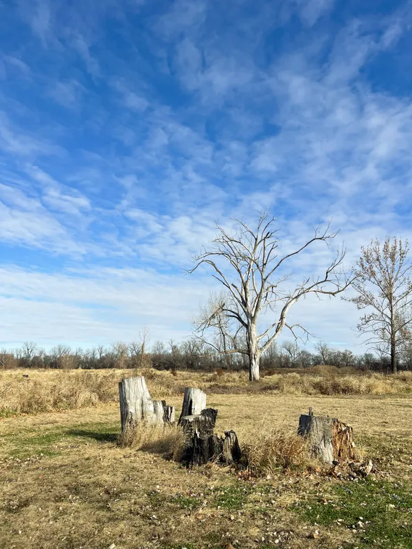 Living Room under Nature thumbnail
