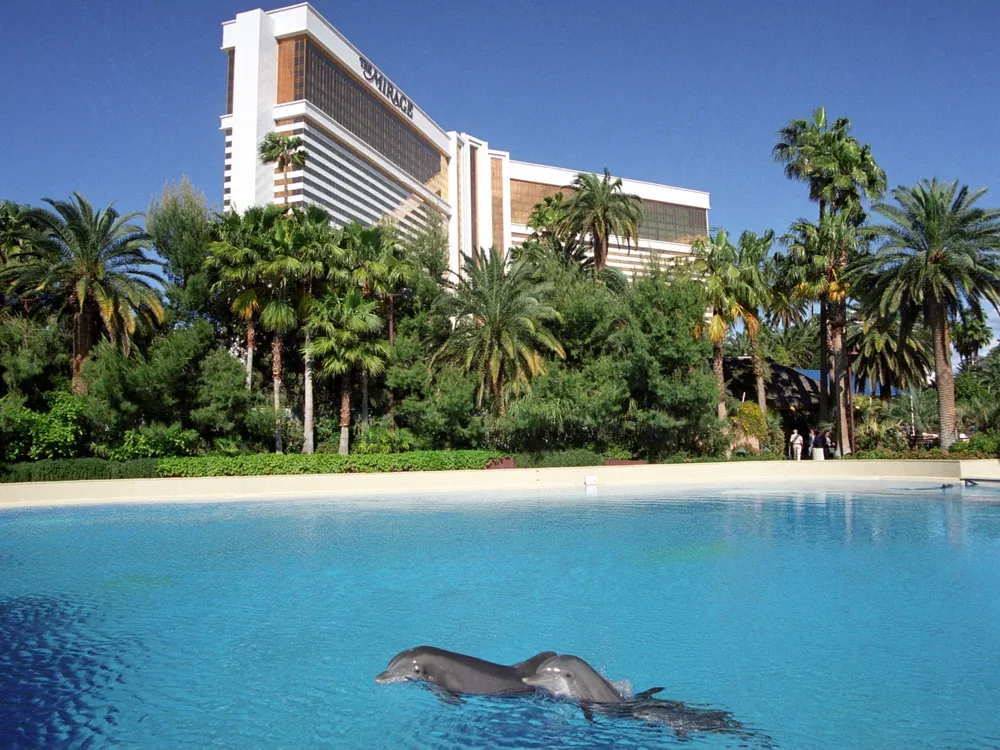 Two dolphins in a pool in front of the Mirage