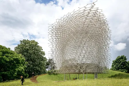 "The Hive" is on display at the Royal Botanic Gardens at Kew, in London, England, through the end of 2017.