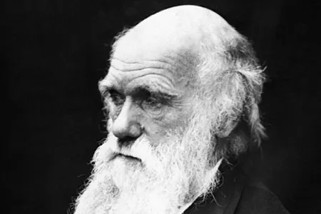 Portrait of Charles Darwin