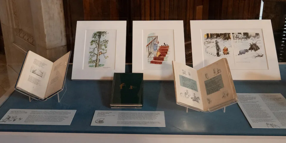 display