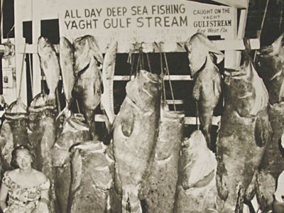 Fish in Key West