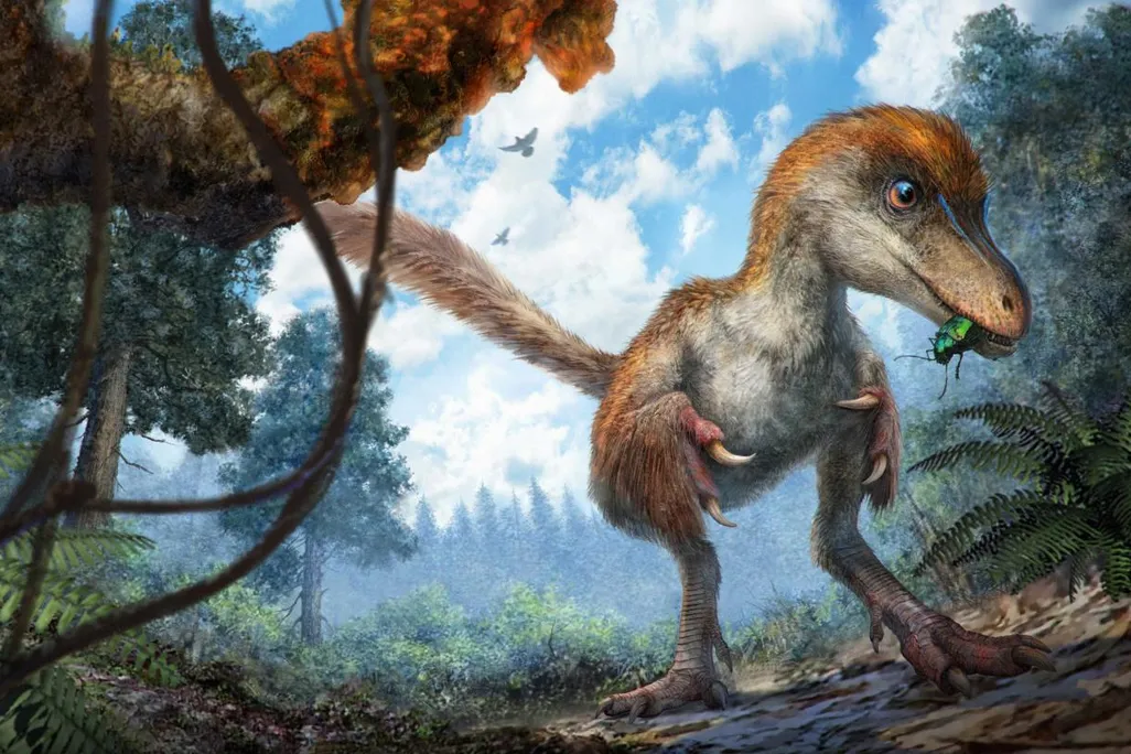 dinosaur - feathers.jpeg