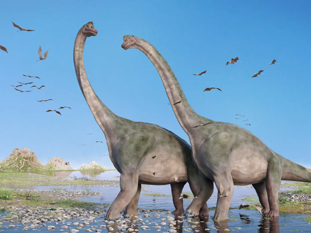 an illustration of two large Brachiosaurus walking with pterosaurs flying around them