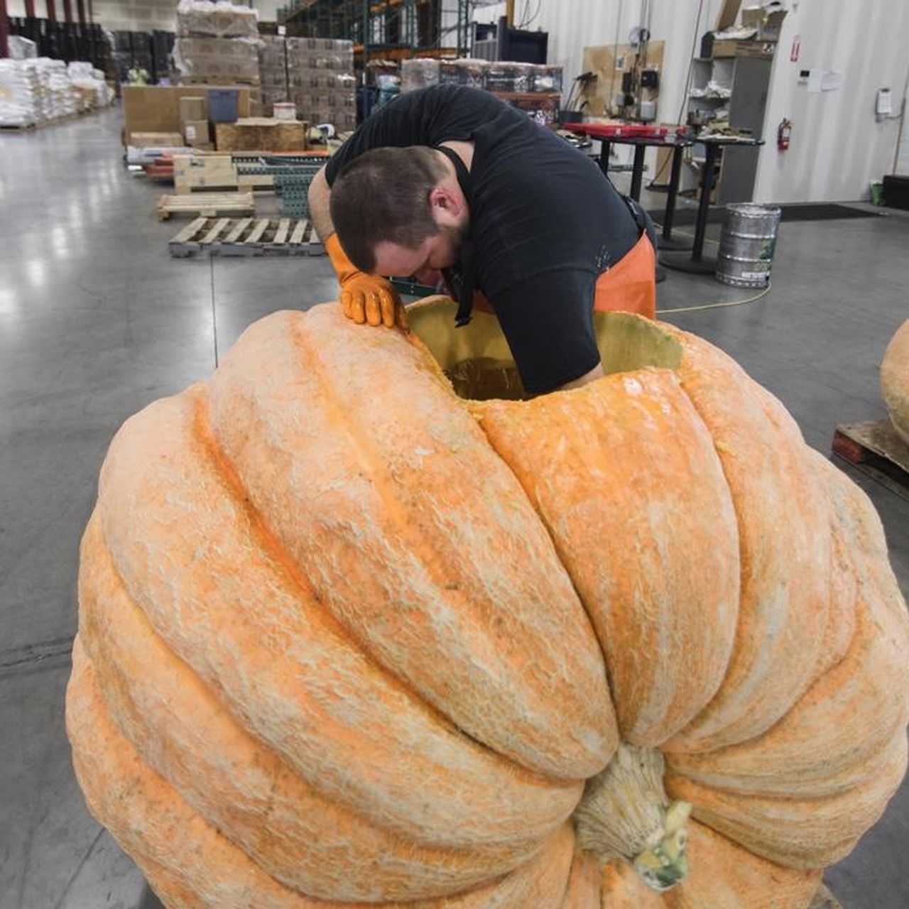 giantpumpkin_02.jpg